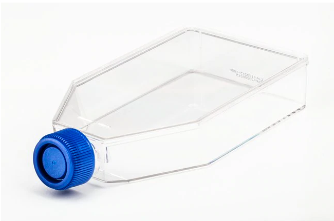 Fisherbrand™ 细胞培养瓶